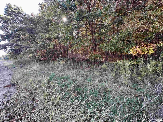 $650,000 | 0 3100 East Avenue, Cowden, IL 62422