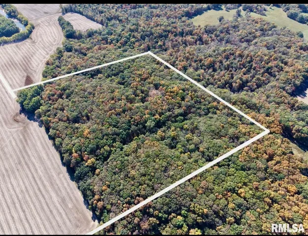 $650,000 | 0 3100 East Avenue, Cowden, IL 62422