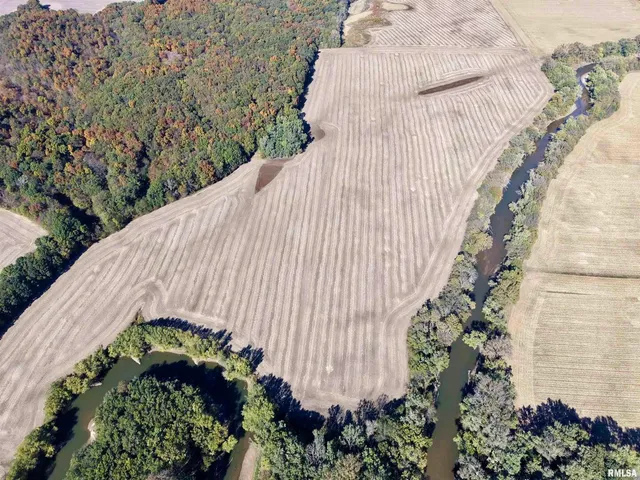 a view of a dry yard