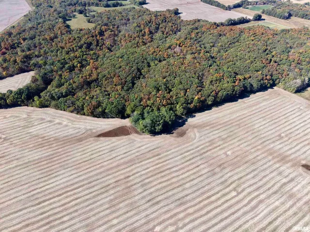 a view of a dry yard