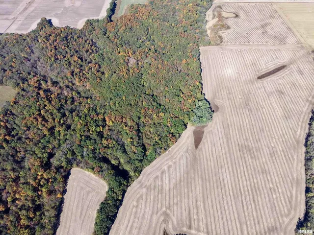 $650,000 | 0 3100 East Avenue, Cowden, IL 62422