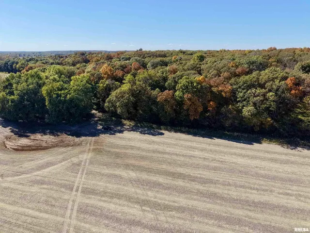 $650,000 | 0 3100 East Avenue, Cowden, IL 62422