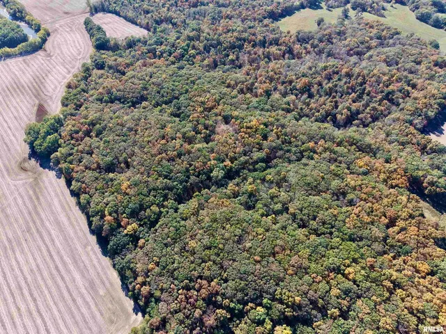 $650,000 | 0 3100 East Avenue, Cowden, IL 62422