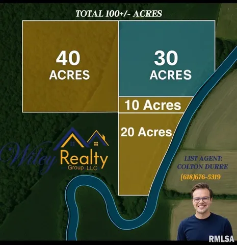 a view of a yard with plants