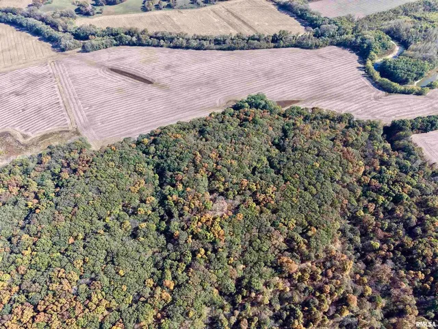 $650,000 | 0 3100 East Avenue, Cowden, IL 62422