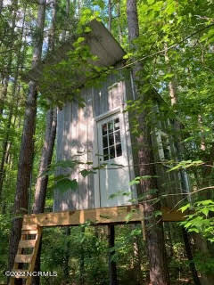 770 Connell Road Carthage, NC 28327 - Photo 39 of 41 Treehouse