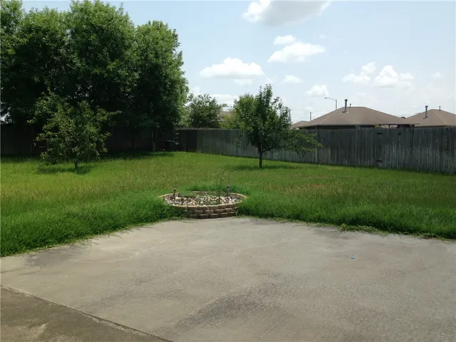 a view of a park with a large trees