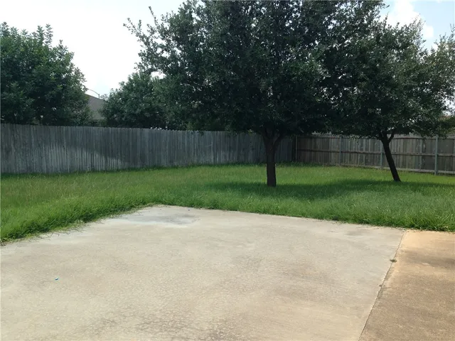 a view of a backyard