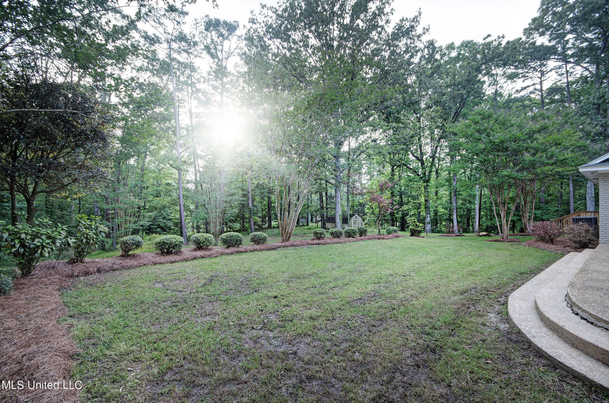 4 Chartres Street Brandon, MS 39047 - Photo 28 of 30 IMGP6199_200_201