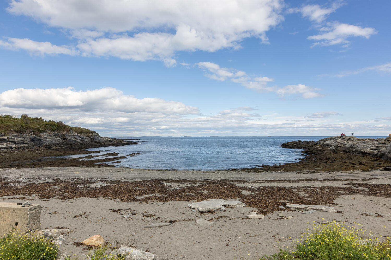 202 Two Lights Road Cape Elizabeth, ME 04107 - Photo 37 of 38 37