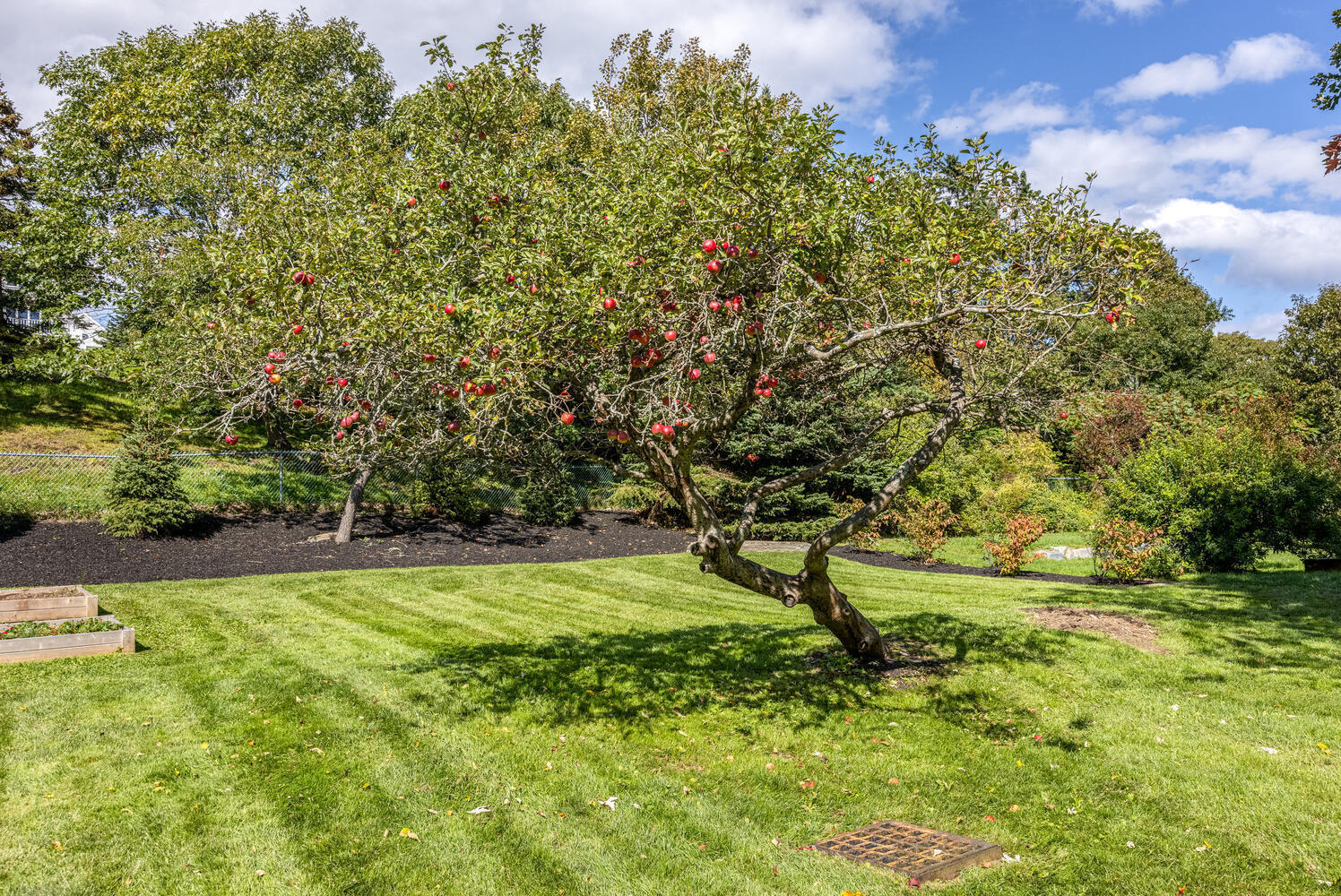 202 Two Lights Road Cape Elizabeth, ME 04107 - Photo 8 of 38 8