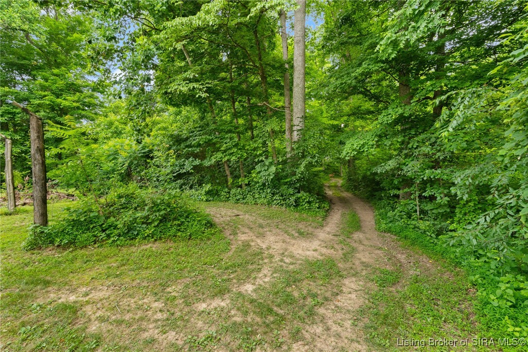 4225-4229 North Moberly Road Northwest Depauw, IN 47115 - Photo 26 of 99 Walking/riding trails in woods