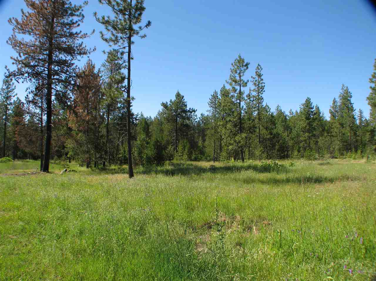 4023 Lyon And Moss Road Loon Lake, WA 99148 - Photo 19 of 20 Gallery Image 19