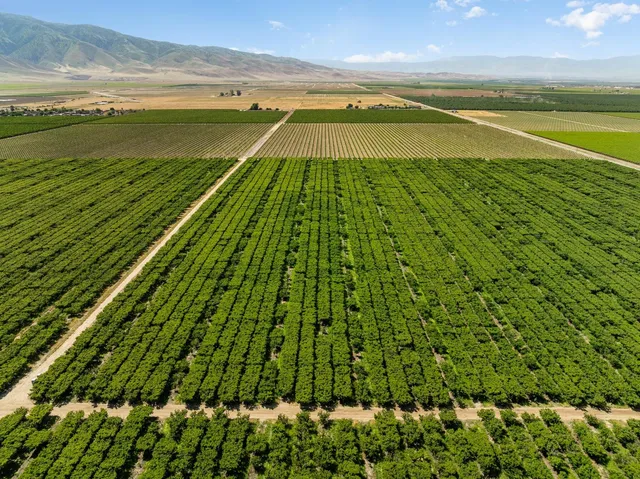 a view of an ocean and beach