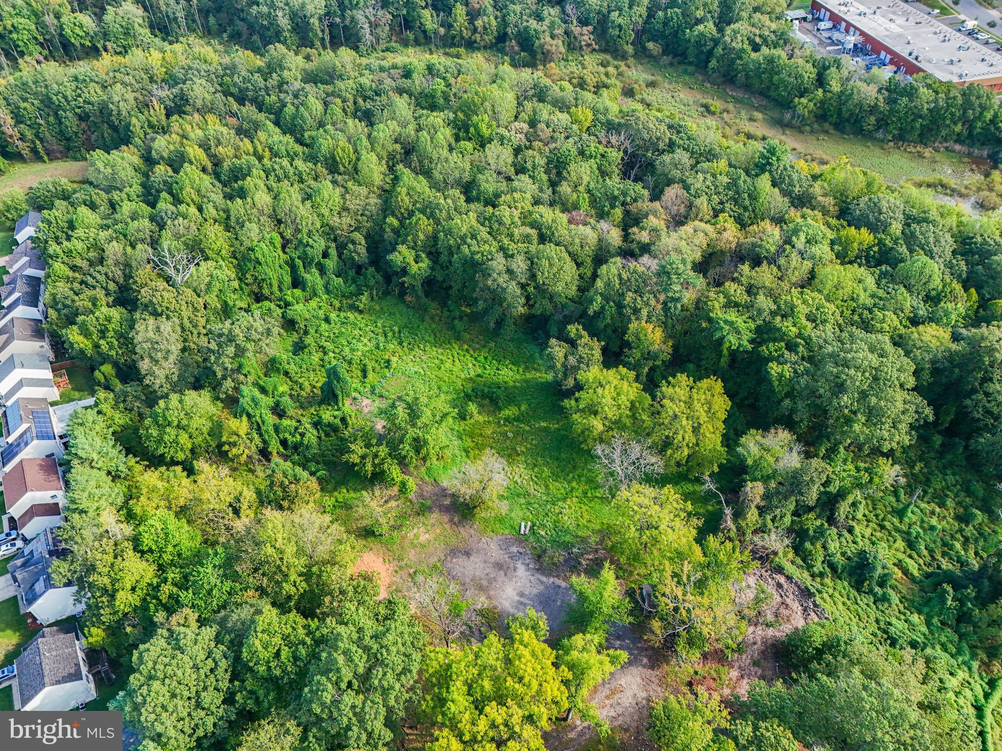 a view of a lush green forest with lawn chairs and a bench