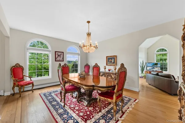 a dining room with furniture a rug a potted plant and a chandelier