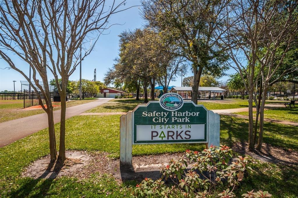 38 Ridgecroft Lane Safety Harbor, FL 34695 - Photo 81 of 89 Gallery Image 81