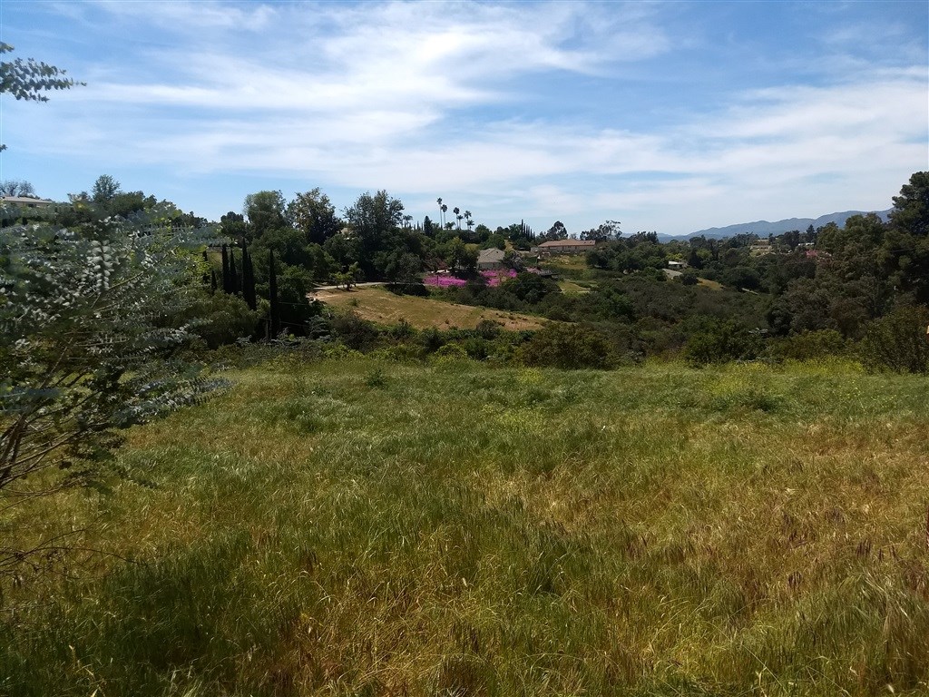 0 Fallen Leaf Lane Fallbrook, CA 92028 - Photo 1 of 3 Gallery Image 1