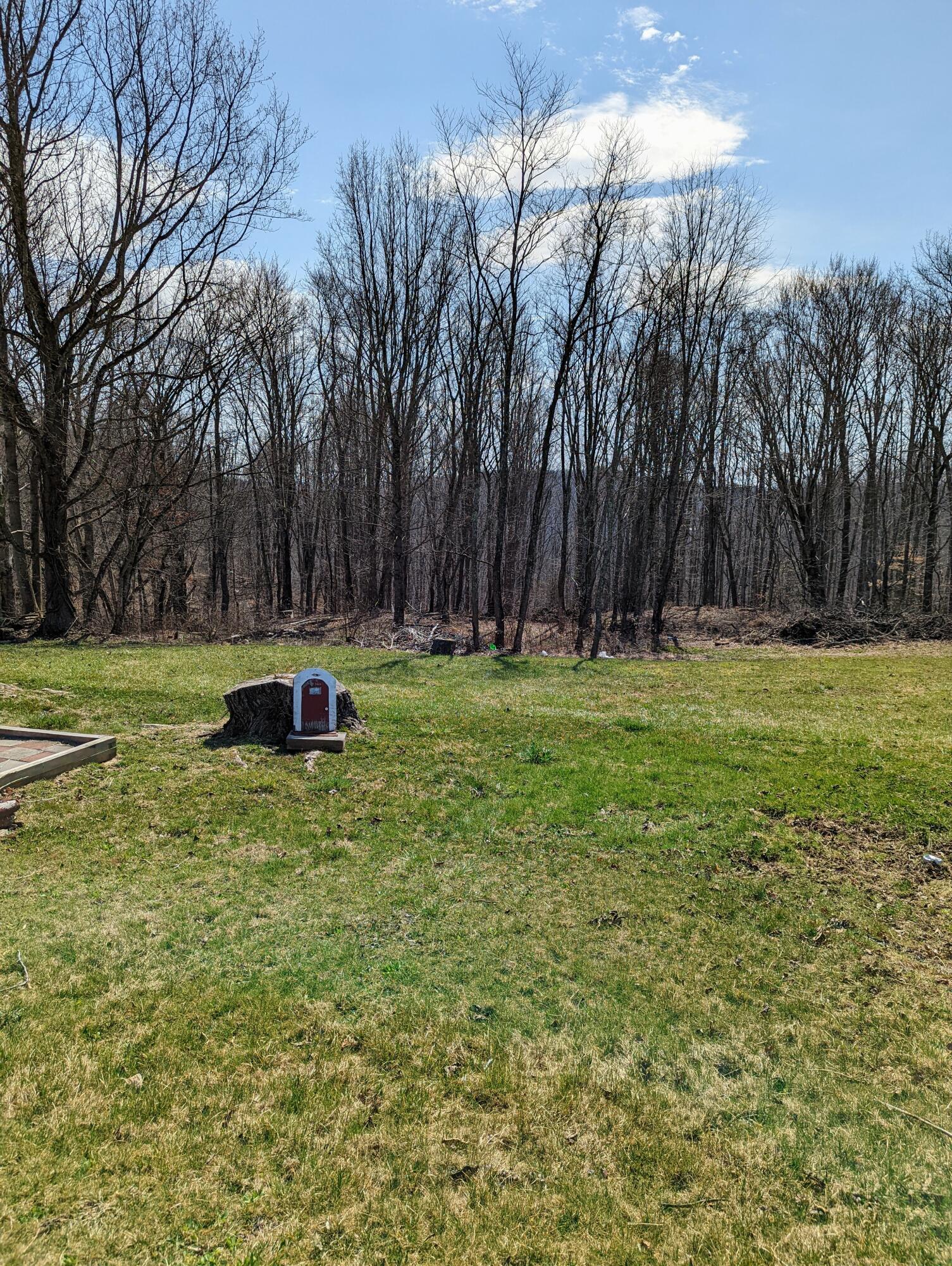 3791 DC Caney Ridge Road Clintwood, VA 24228 - Photo 8 of 21 PXL_20220305_172305504