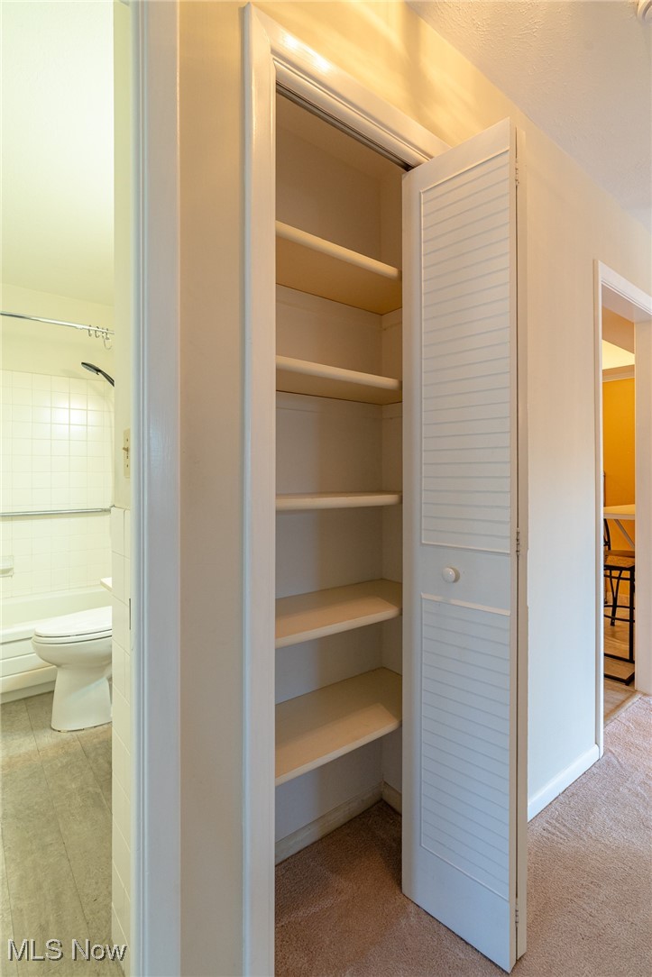 2089 Wooster Road, Unit C42 Rocky River, OH 44116 - Photo 13 of 43 Shelved linen closet in hallway