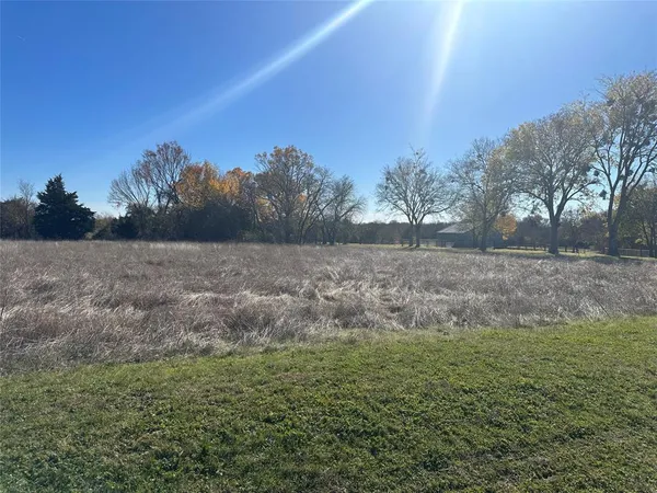 a view of a field