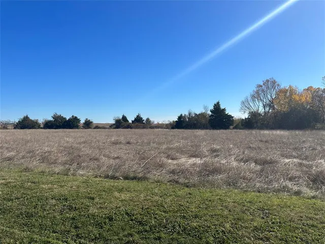 a view of a field with trees in background