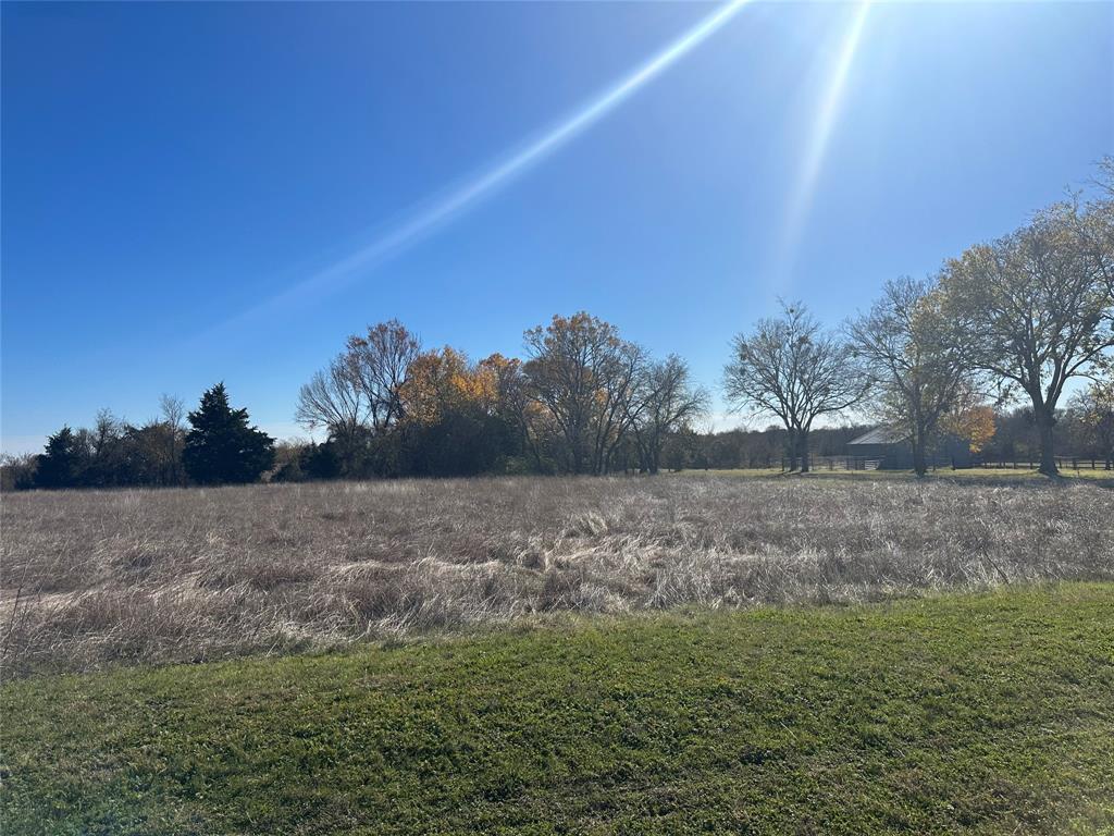 531 Wright Road Waxahachie, TX 75167 - Photo 18 of 20 a view of a field with trees in background
