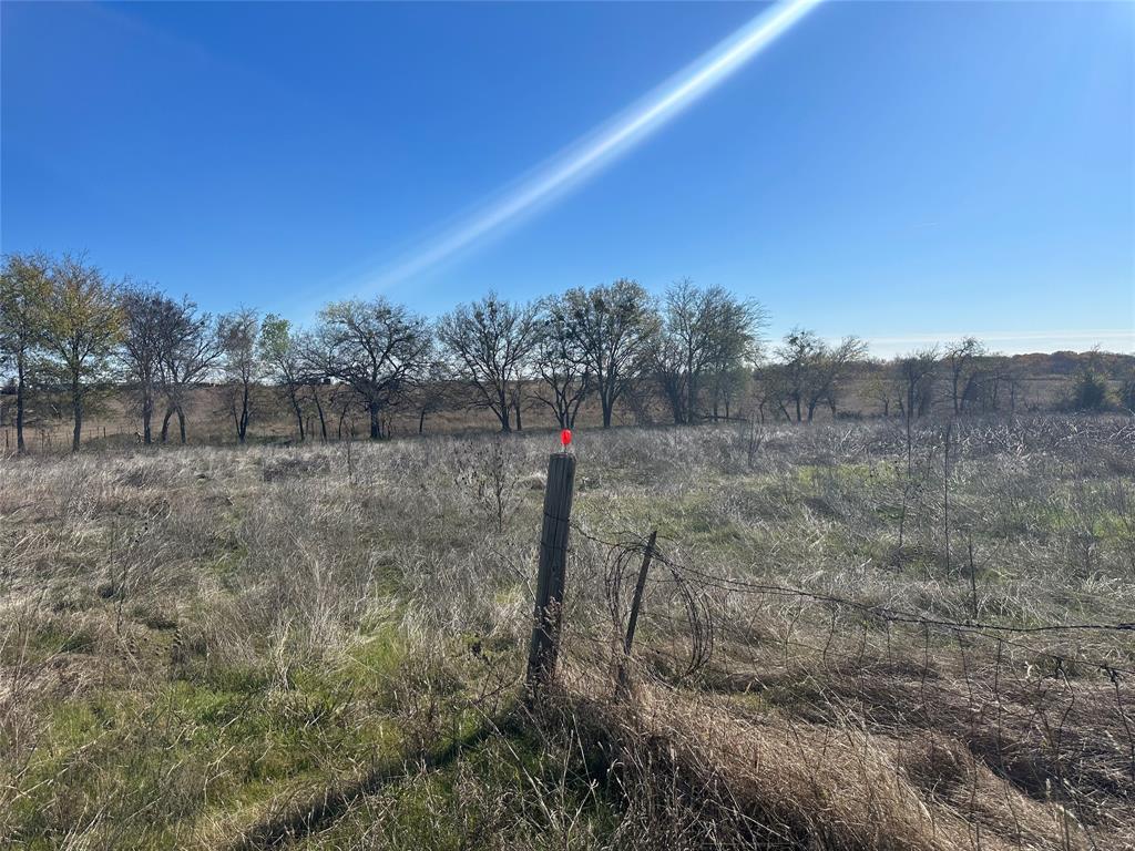 531 Wright Road Waxahachie, TX 75167 - Photo 7 of 20 a view of a forest with a tree