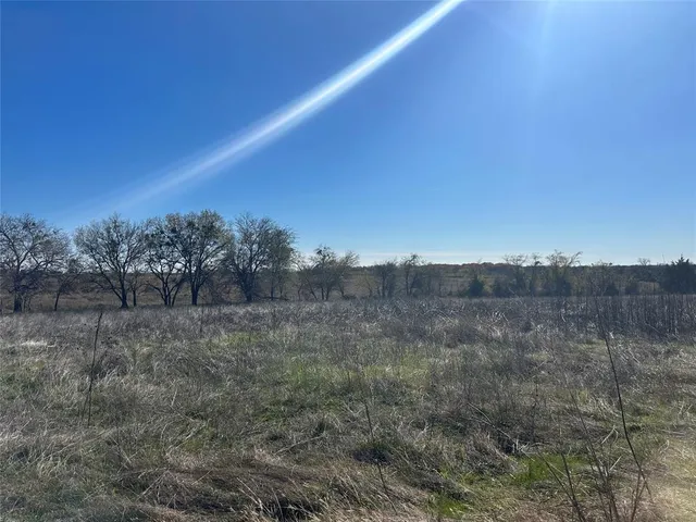 a view of a dry yard with trees