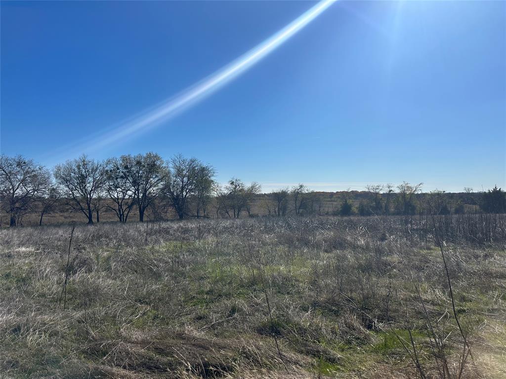 531 Wright Road Waxahachie, TX 75167 - Photo 9 of 20 a view of a dry yard with trees