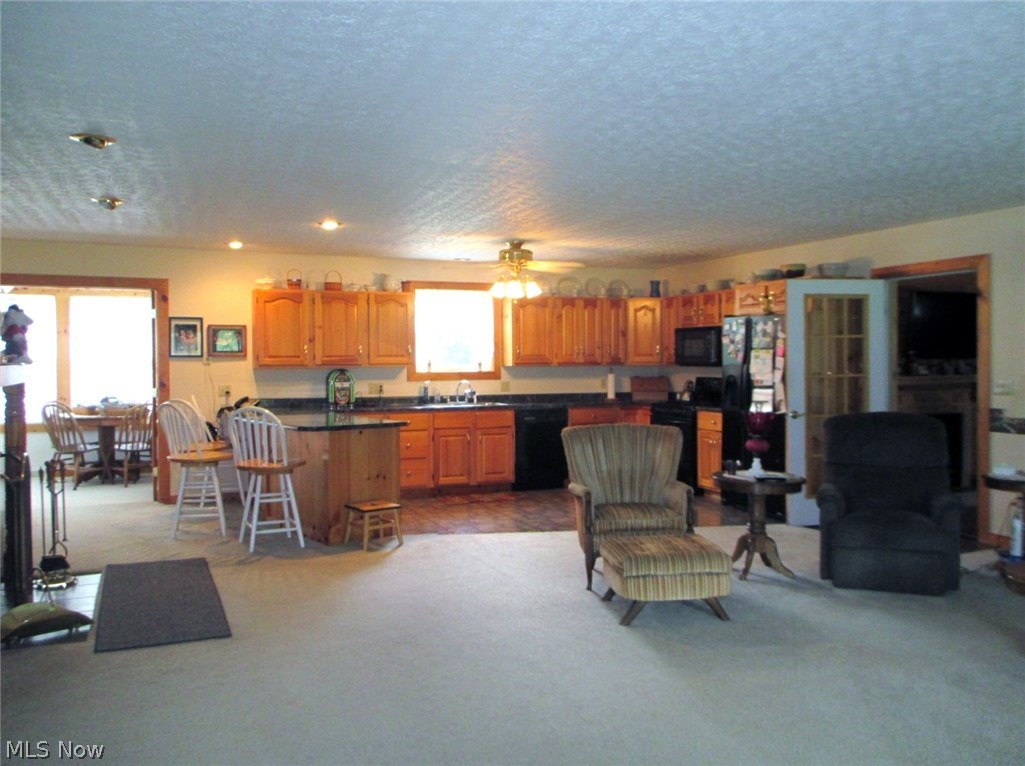 8230 Bagley Road Mount Perry, OH 43760 - Photo 4 of 35