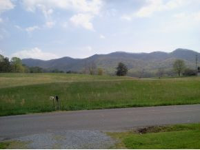 686 Cherokee Mountain Road Jonesborough, TN 37659 - Photo 16 of 19 Photo 16