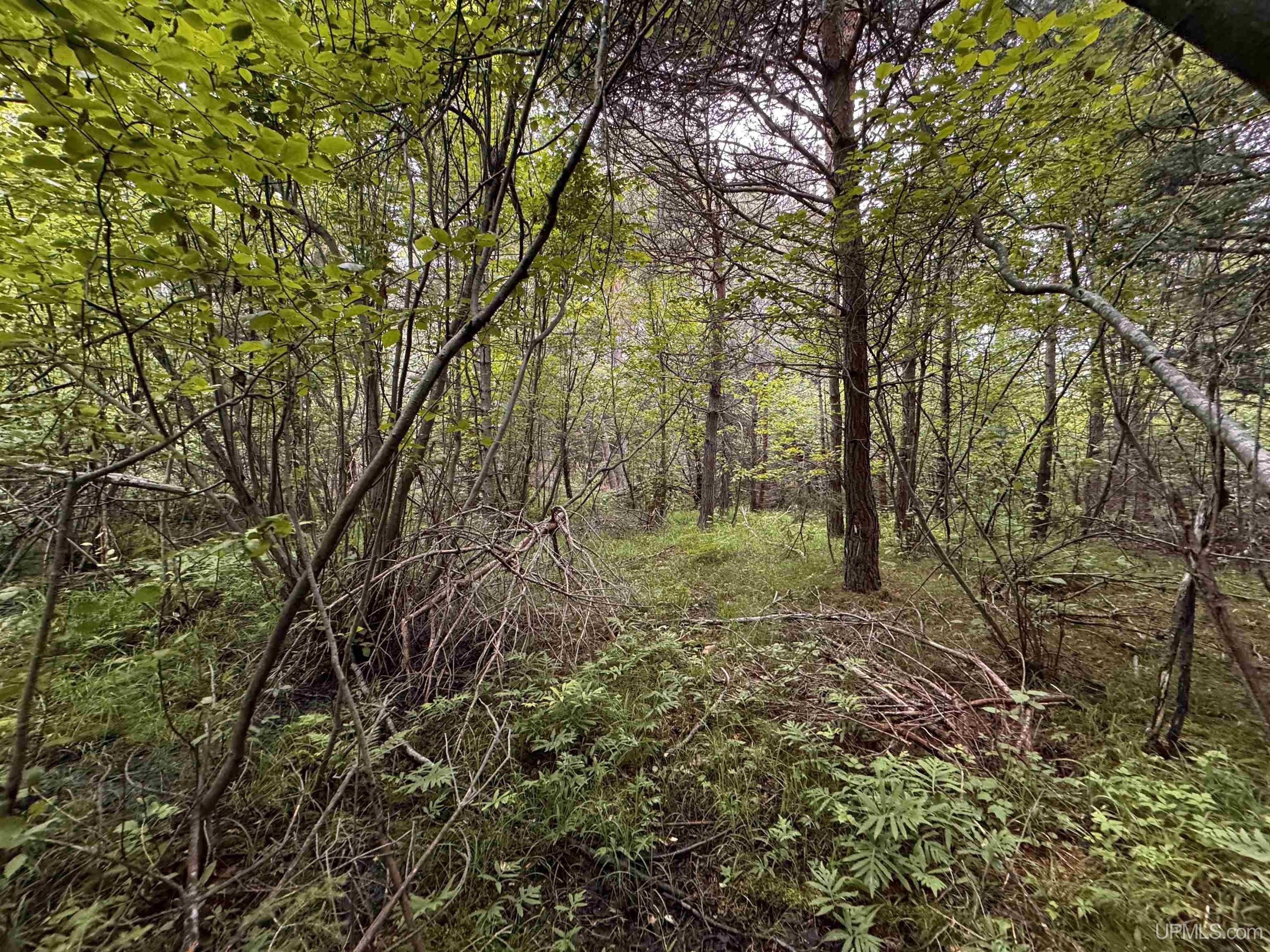5.23 Messner Road Baraga, MI 49908 - Photo 4 of 18