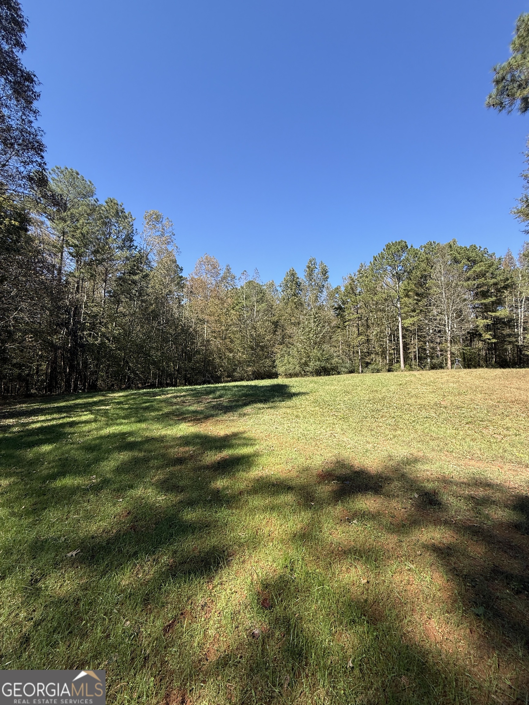0 Erastus Church Road Commerce, GA 30530 - Photo 11 of 13 a view of grassy field with trees