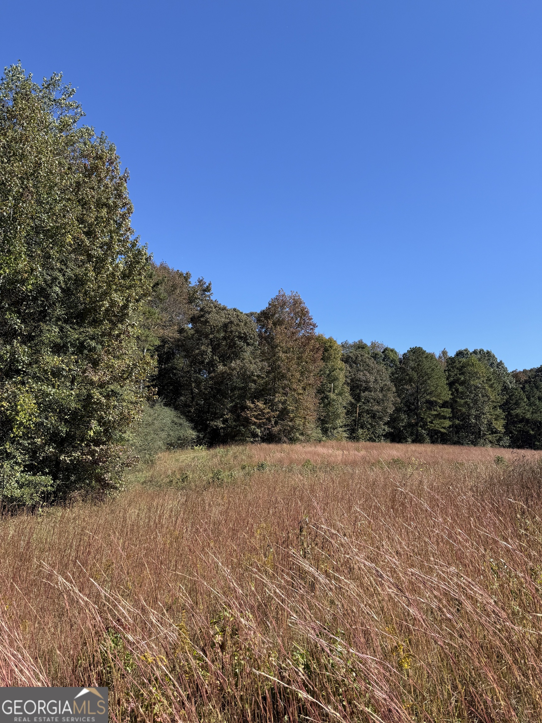 0 Erastus Church Road Commerce, GA 30530 - Photo 12 of 13 a view of mountain view with mountain