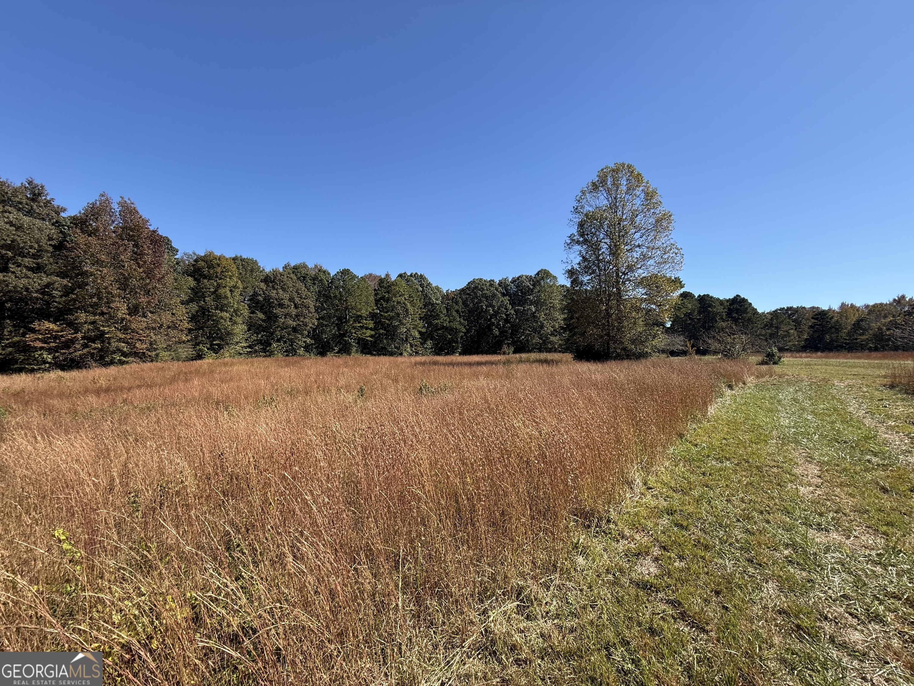 0 Erastus Church Road Commerce, GA 30530 - Photo 13 of 13 a view of a city