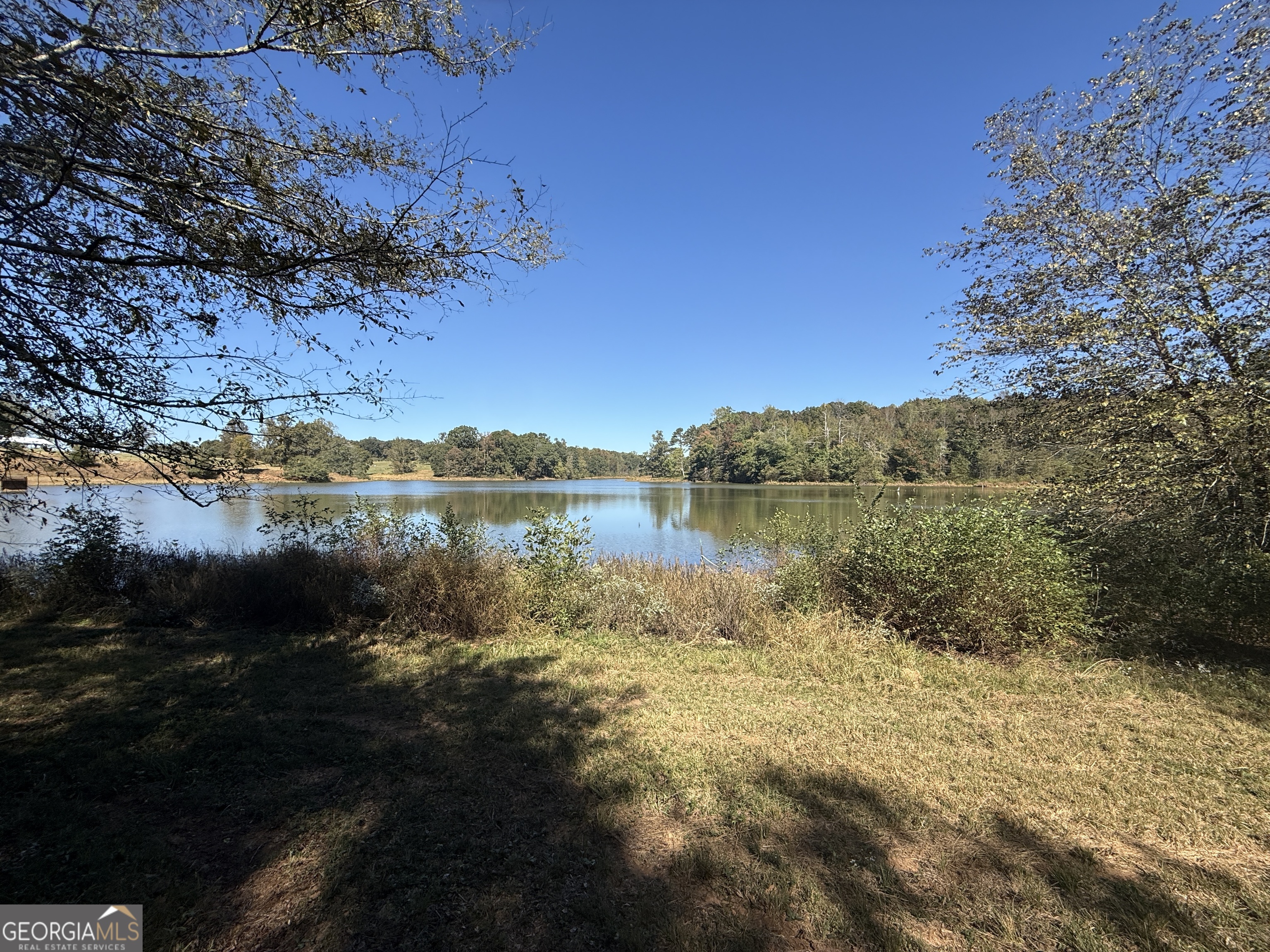 0 Erastus Church Road Commerce, GA 30530 - Photo 4 of 13 a view of a lake with outside area