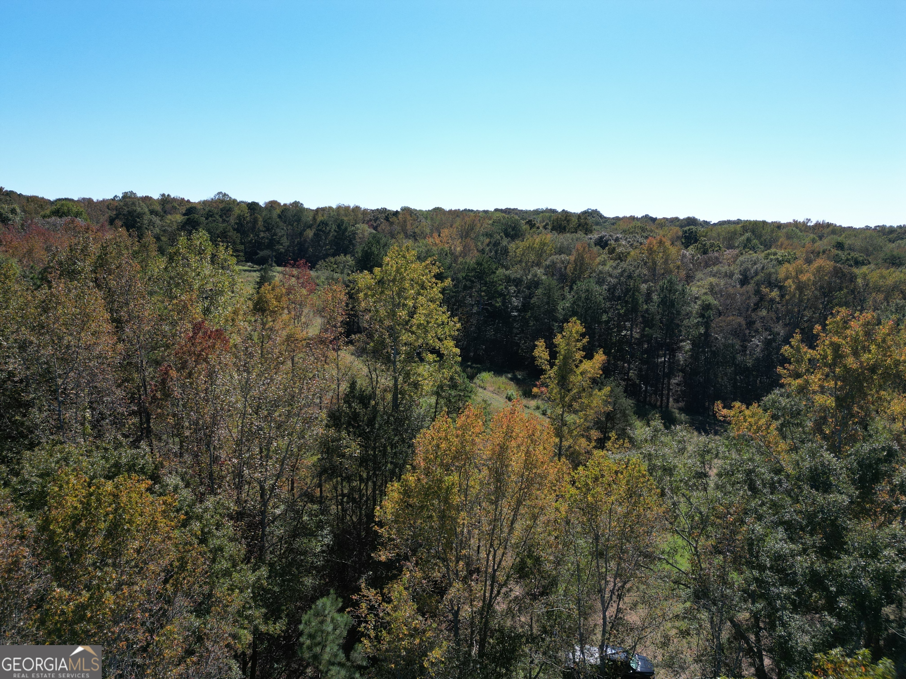 0 Erastus Church Road Commerce, GA 30530 - Photo 5 of 13 a view of a lot of trees and mountains