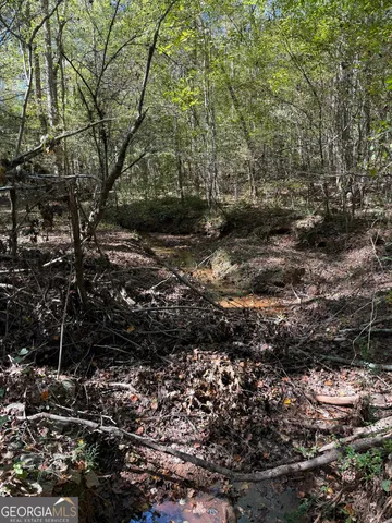 a view of a forest with trees