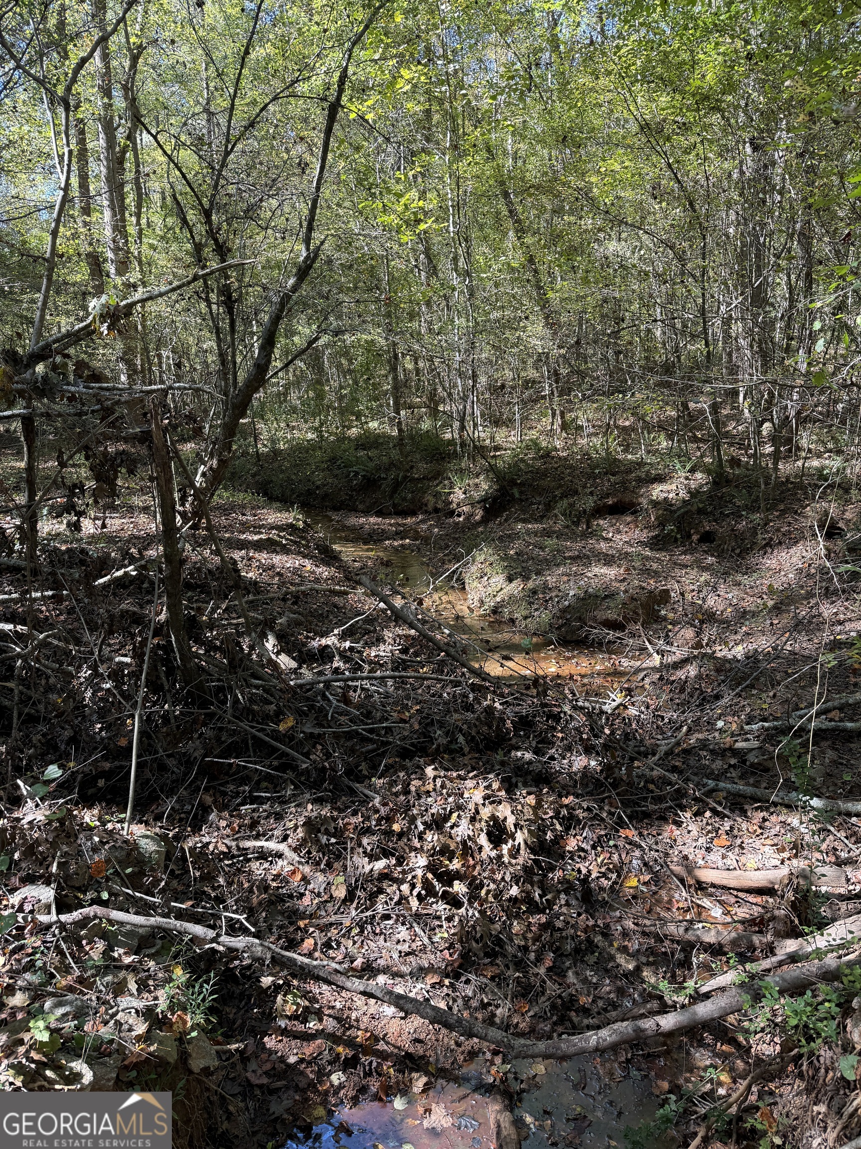 0 Erastus Church Road Commerce, GA 30530 - Photo 6 of 13