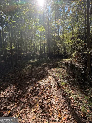 a view of lot of trees