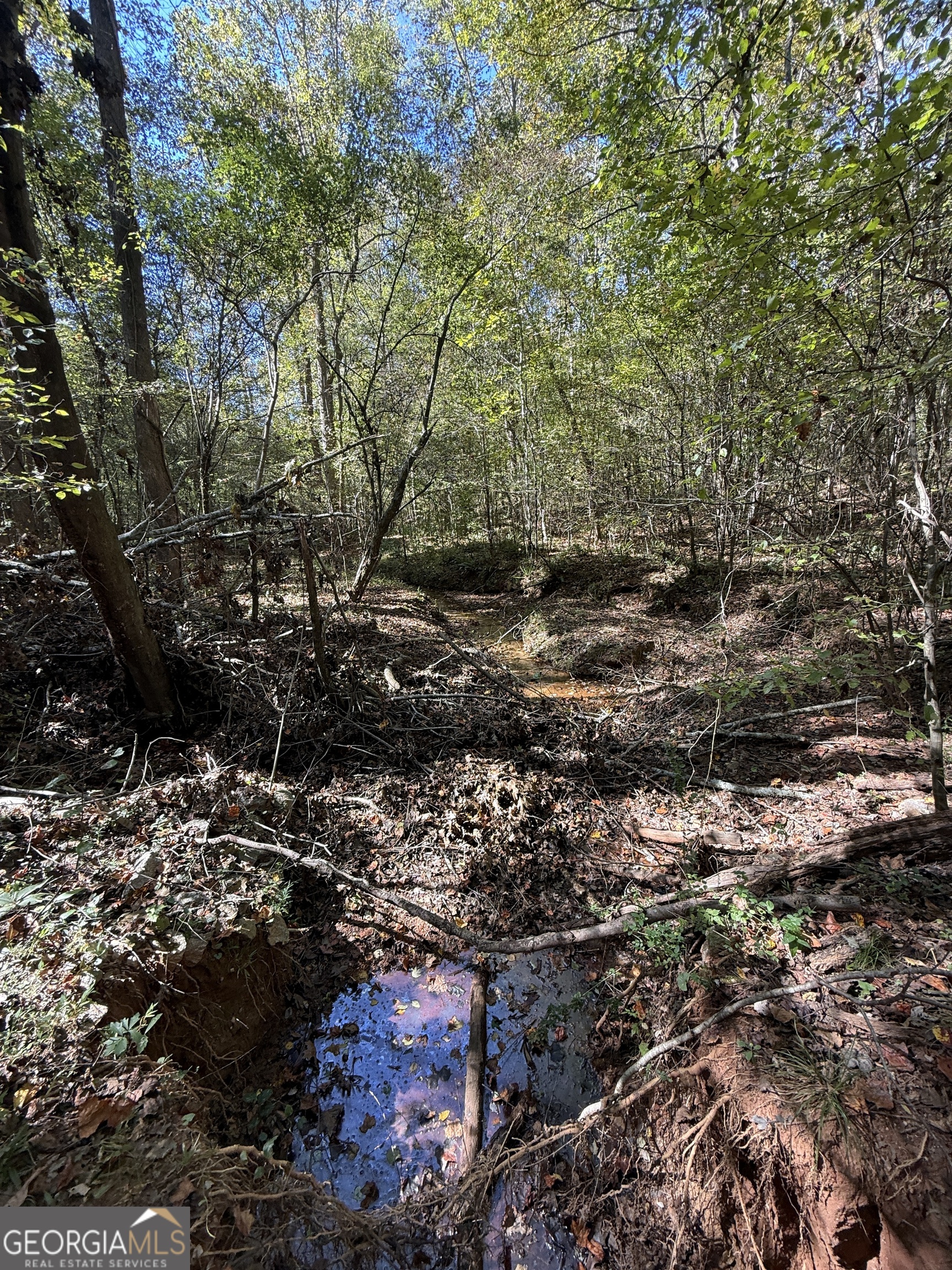 0 Erastus Church Road Commerce, GA 30530 - Photo 8 of 13 a view of lot of trees