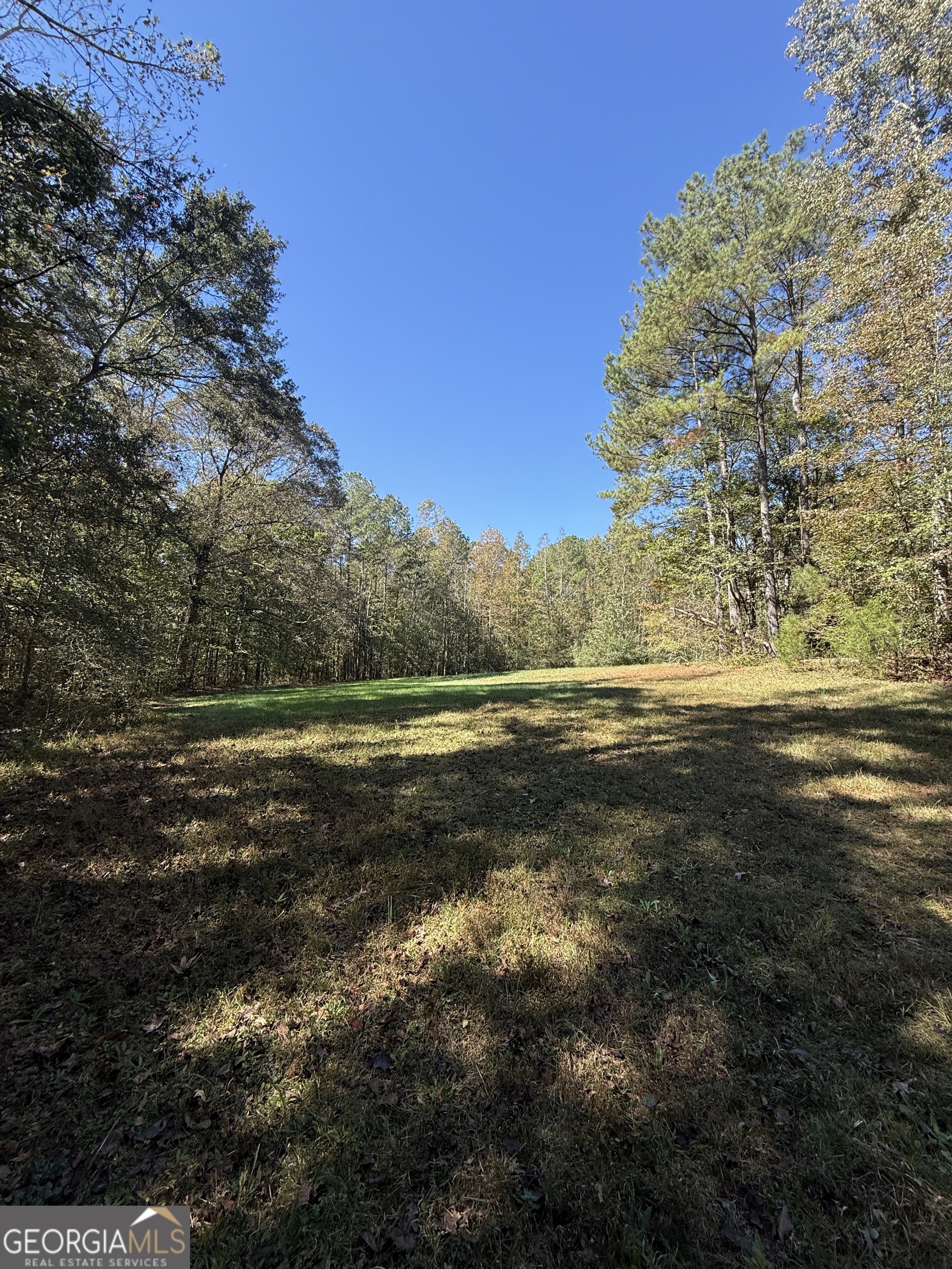 0 Erastus Church Road Commerce, GA 30530 - Photo 9 of 13