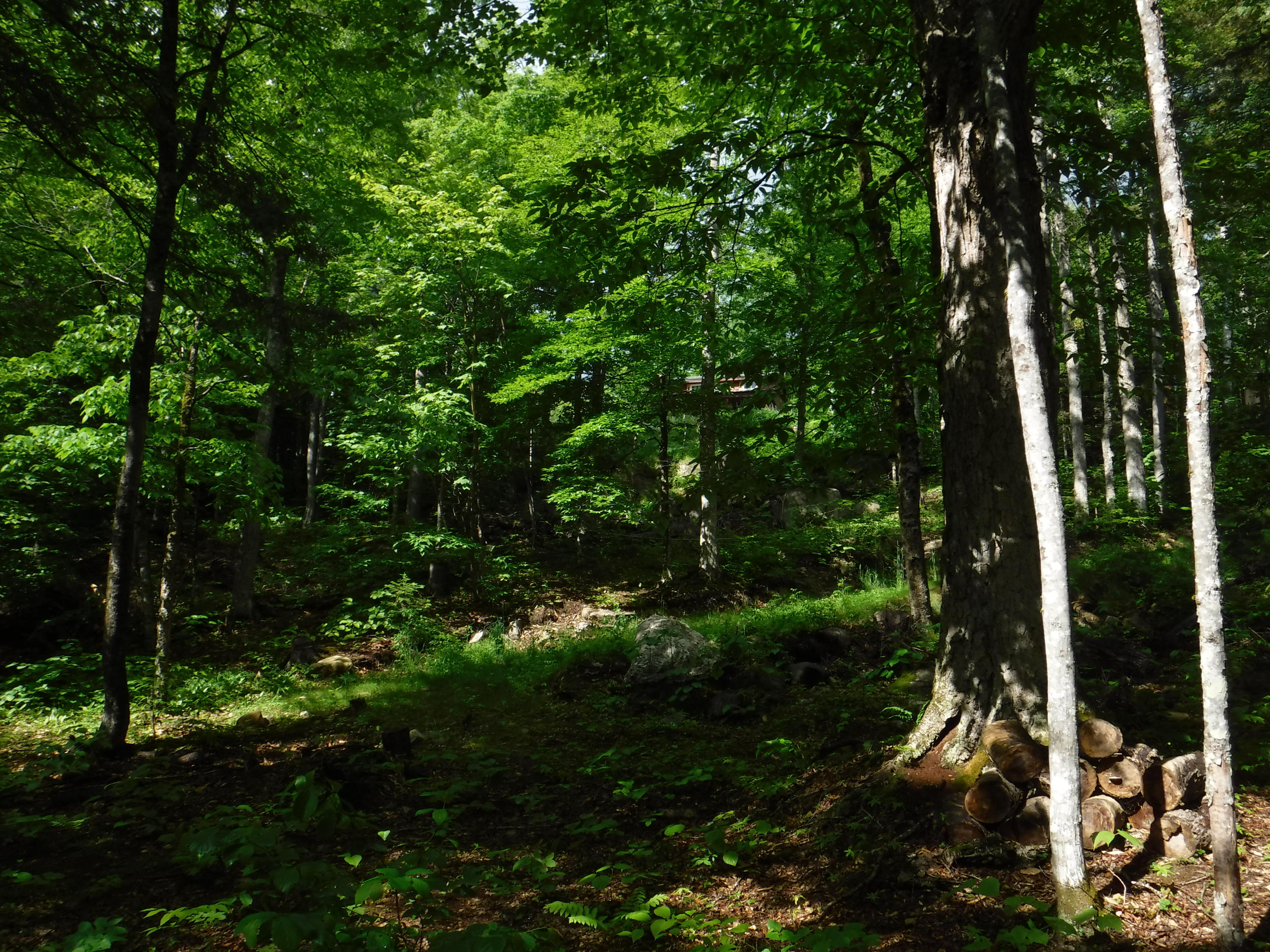 1252 South Arm Road Andover, ME 04216 - Photo 18 of 36 DSCF8320
