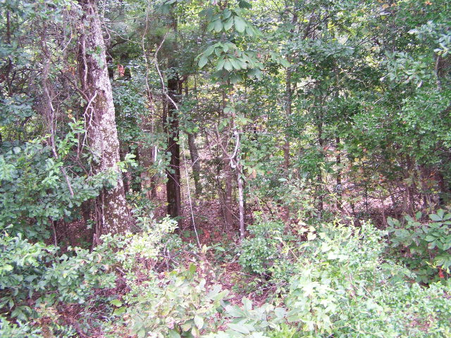 3 Connector Road Graniteville, SC 29829 - Photo 1 of 1 Main View