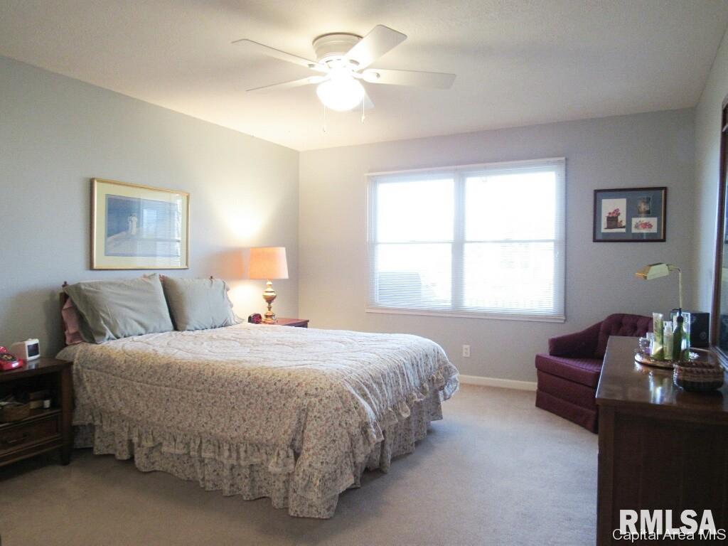 744 Cherokee Drive Springfield, IL 62711 - Photo 19 of 24