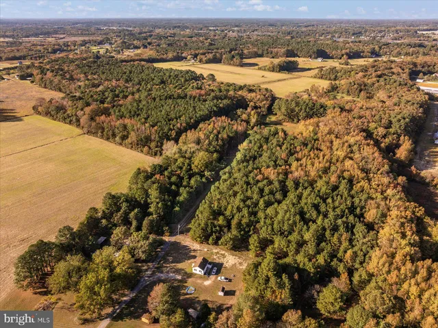 a view of city and ocean