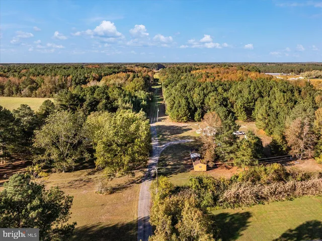 a street sign on a tree