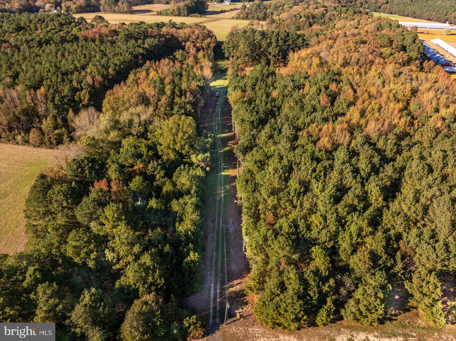27336 Walnut Tree Road Salisbury, MD 21801 - Photo 6 of 16 a street sign on a tree