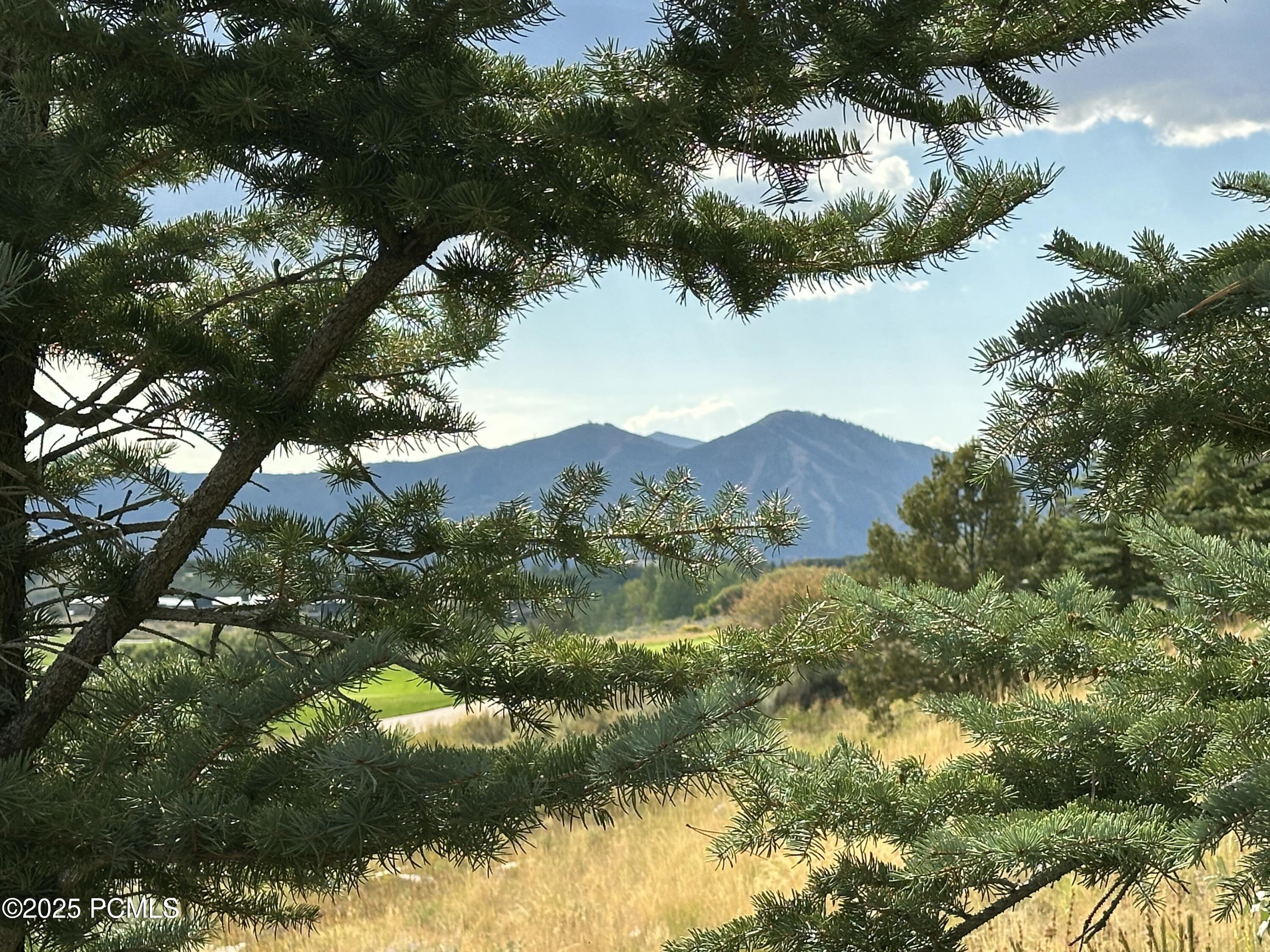 2990 Primrose Trail Kamas, UT 84036 - Photo 7 of 114